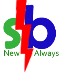 Logo SB Flash New