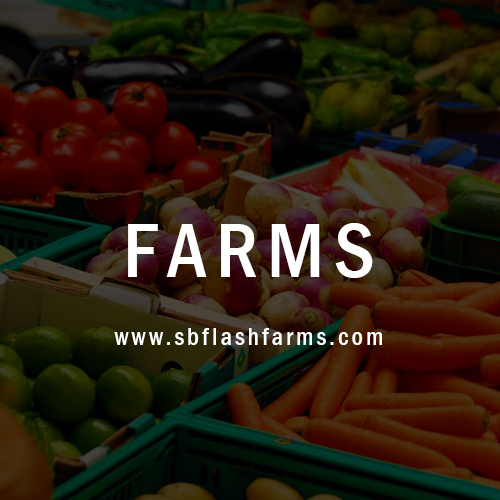 SB Flash Farms